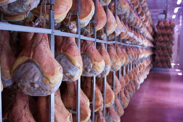 stagionatura prosciutti di parma