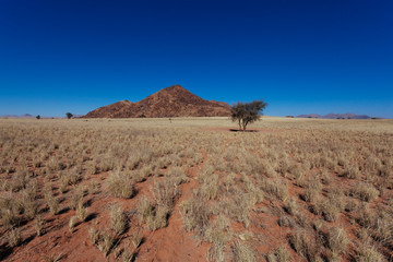 Namibian desert , Veld , Namib 