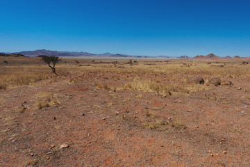 Namibian desert , Veld , Namib 