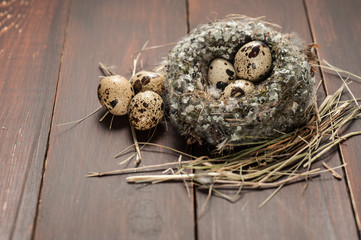 Naklejka na ściany i meble quail eggs in a nest over old wooden background
