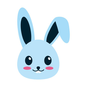 rabbit or bunny cute animal icon image vector illustration design 