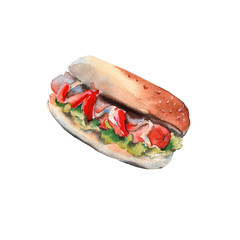 Roll with sausage and sauce. Hot Dog. isolated on white background.