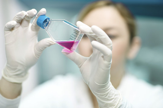 Scientist examining liquid in laboratory
