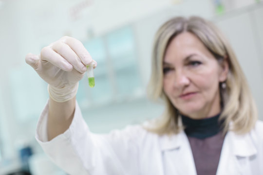 Female scientist examining test tube in laboratory