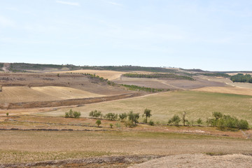 Fototapeta na wymiar Landscape of Castilla y Leon near the village of Montealetre de Campos in the region of Tierra de Campos, Valladolid Province, Spain,