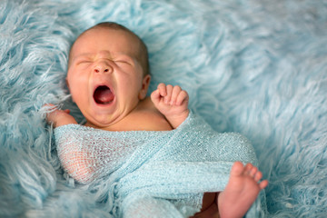 Happy smiling newborn baby in wrap, sleeping happily in cozy fur © Tomsickova