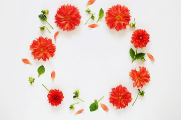 Fototapeta premium Frame round pattern of orange dahlias on a white background. top view. copy space