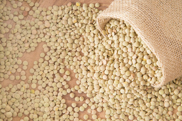 Raw lentil grains - Lens culinaris