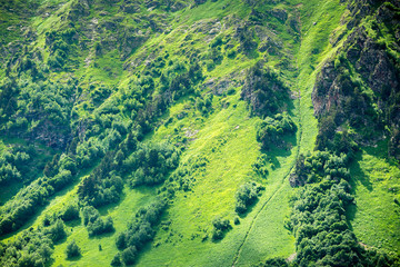 mountain trail on a summer day