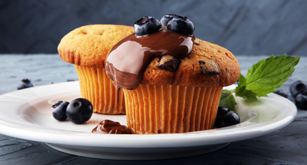 Freshly baked blueberry muffins with fresh blueberries