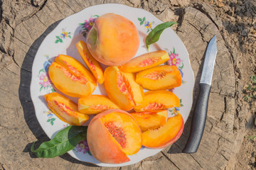 Naklejka na ściany i meble Whole peach and slices of peaches on the plate with knife in the wooden bakground
