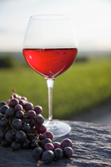 Verre de vin rouge en lumière