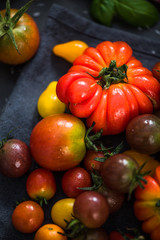 Close view on farm fresh tomatoes