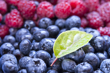 Background of blueberry and raspberry.
