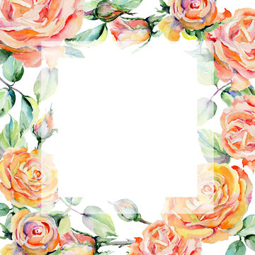 Wildflower rose flower frame in a watercolor style. Full name of the plant: rosa. Aquarelle wild flower for background, texture, wrapper pattern, frame or border.