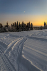 winter road in dawn