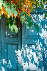 Bright funny autumn background. Old textured blue door and yellow fall leaves.