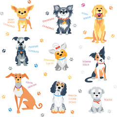 Naklejka premium Vector set colour dogs of different breeds