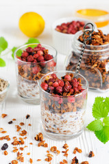 Homemade granola with yogurt in glasses