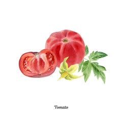 Handpainted watercolor poster with tomato