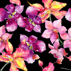 Wildflower orchid flower pattern in a watercolor style. Full name of the plant: orchid cattleya. Aquarelle wild flower for background, texture, wrapper pattern, frame or border.