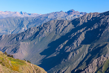 Colca Canyon, Peru