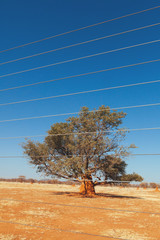 Obraz premium Namibian desert 