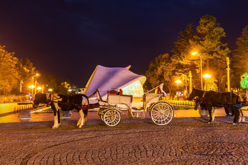 Vintage carriage, Batumi