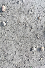 Texture of the cracked surface of the soil and stones. Vertical shot. Abstract background.