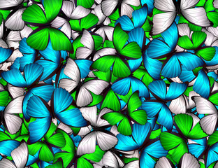 Obraz na płótnie Canvas Seamless pattern with lot of different butterflys
