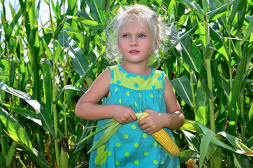 A small, cheerful girl among high, green corn.