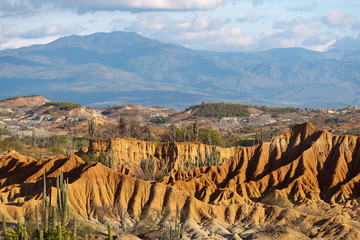 big cactuses in red desert, tatacoa desert, colombia, latin america, clouds and sand, red sand in desert