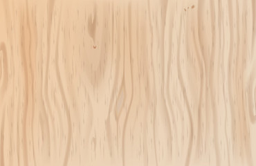 Wooden background. Wood texture.