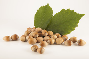 Hazelnut isolated on white background
