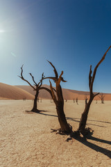 Sossusveli. Dead Vlei. Deadvlei. Namib Desert