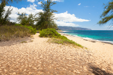 beach northshore oahu hawaii