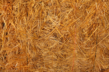 Background of straw