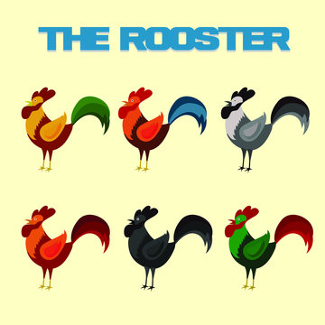 Rooster colorfull