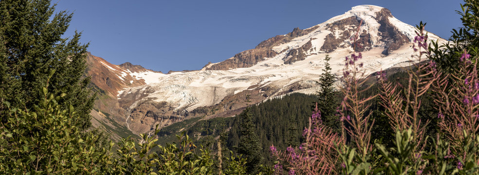 Mount Baker viewed in the summer. 