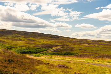 View of Cairngorms National Park
