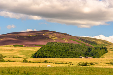 Fototapeta na wymiar View of Cairngorms National Park