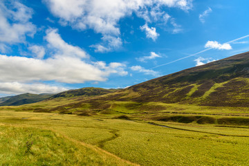 Scottish countryside in summer