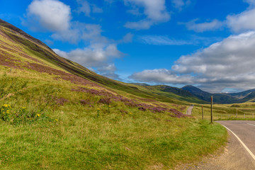 Scottish countryside in summer