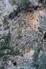 dans les gorges de Samaria-Cr&ecirc;te