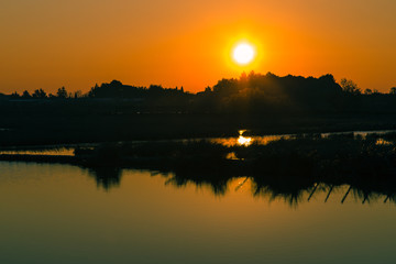 Naklejka premium Sunrise on the Camargue ponds