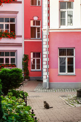 Fototapeta na wymiar Colorful buildings in Old Riga city, Latvia