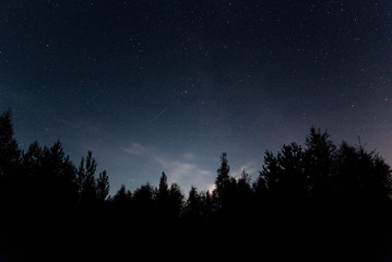 Night sky stars behind forests trees
