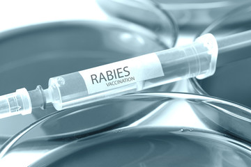 rabies vaccination blue colored theme - obrazy, fototapety, plakaty
