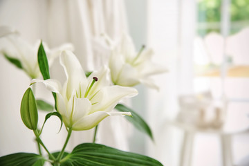 White bouquet of lilies on blurred background © Africa Studio