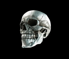 Human skull on Rich Colors a Black Isolated Background. The concept of death, horror. A symbol of...